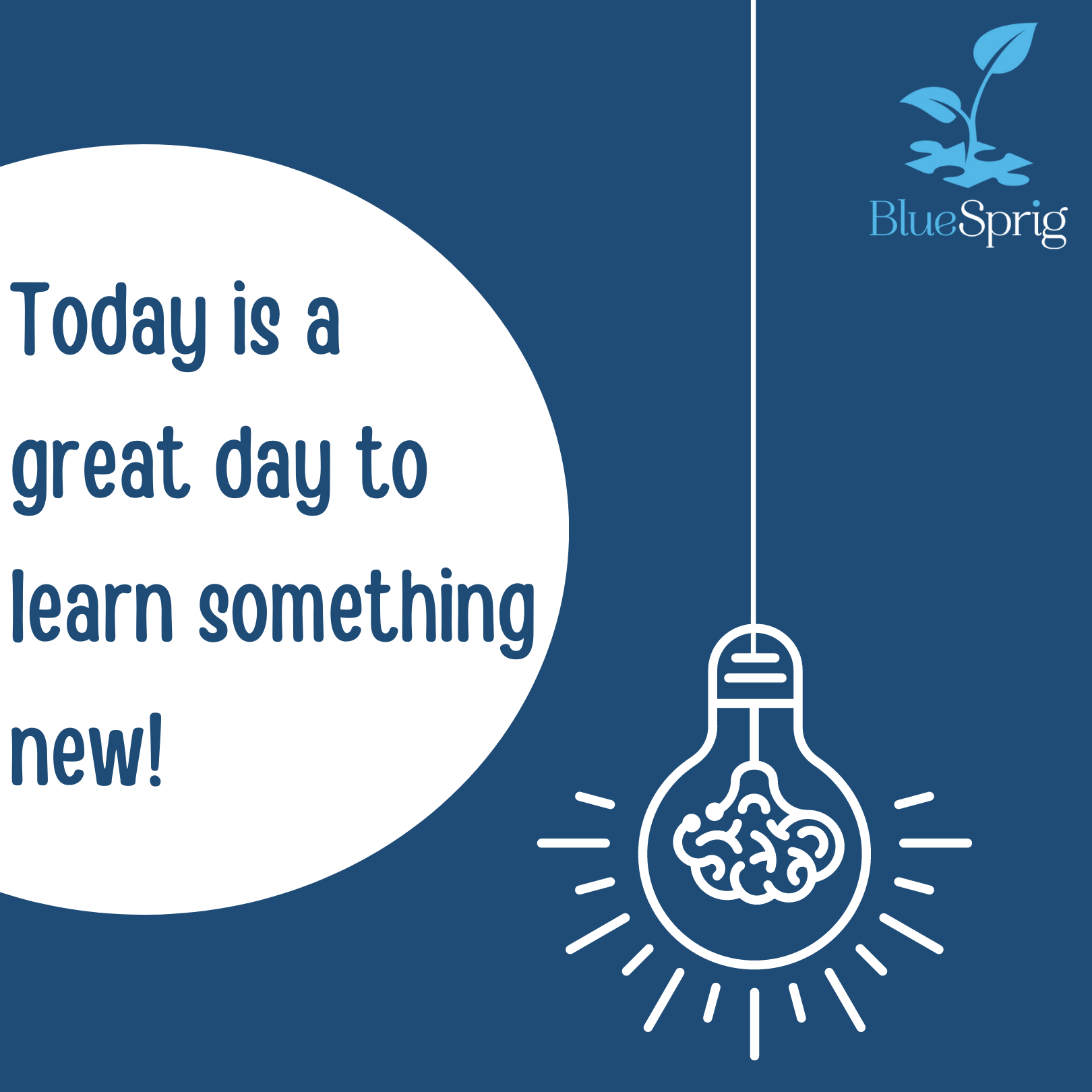 Log in | BlueSprig Employee Learning Portal