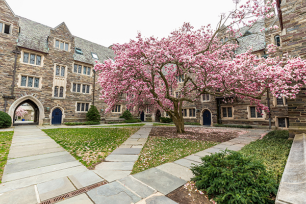 A Time of Energy Transition At Princeton University