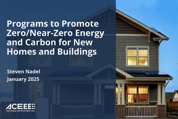  Programs to Promote Zero/Near-Zero Energy and Carbon