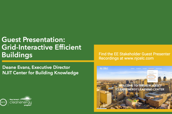 Grid-Interactive Efficient Buildings