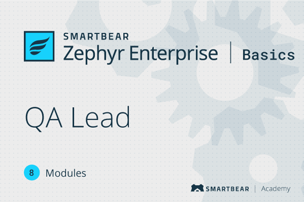 Zephyr Enterprise QA Lead